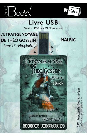USeBook : L'Étrange voyage de Théo Gossein